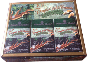 E-P Tongkat Ali 120 capsules - Rainforest Herbs