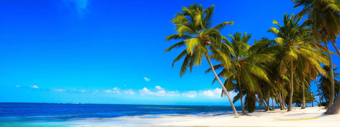 The Coconut Kitchen – the importance of Coconut Superfoods
