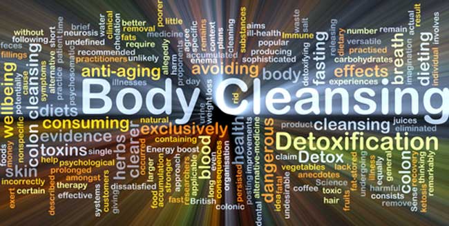 Herbal Protection from Liver Toxicity and Inflammation
