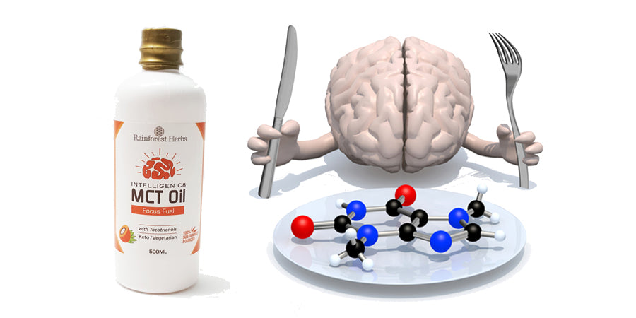Can MCT Oil boost our brains?