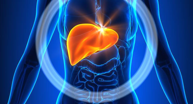 The Importance of Herbal Bitters for Healthy Digestion and Elimination