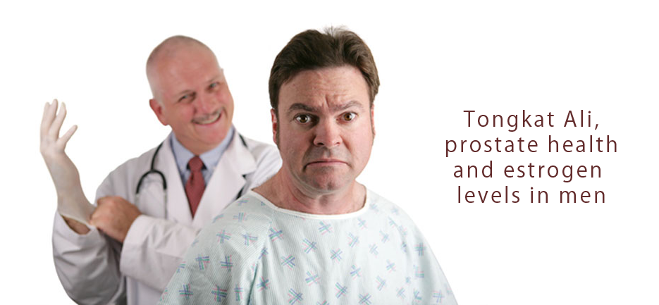 Tongkat Ali, Prostate Health and Estrogen Levels in Men