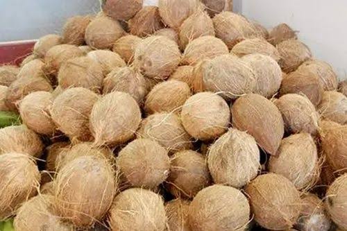 Semi Husked Coconut