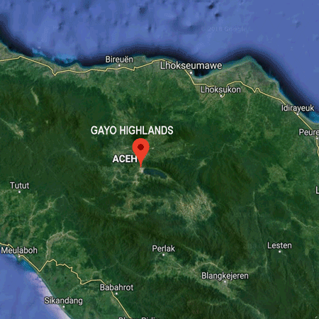 Aceh Gayo Arabica Single Origin 200gm - Rainforest Herbs