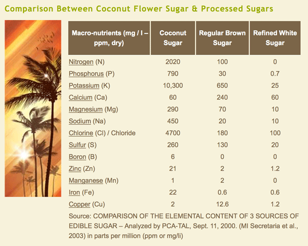 Organic Coconut Sugar 5kg Bulk Pack - Rainforest Herbs
