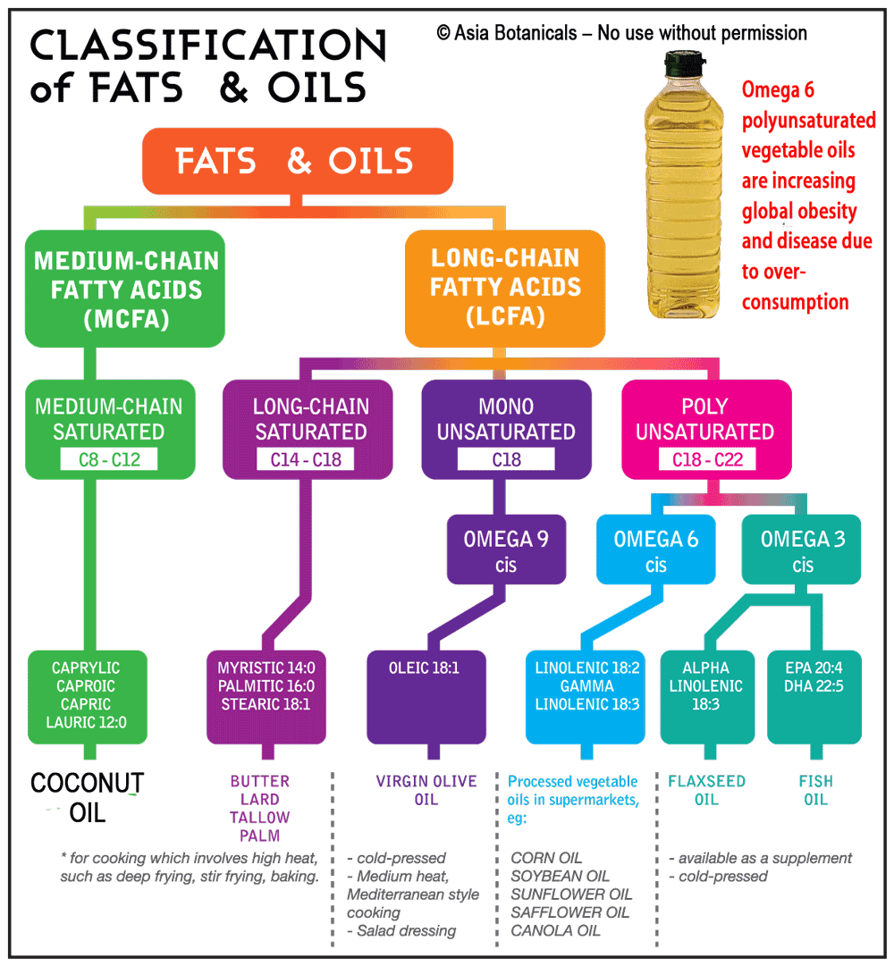 Understanding Coconut Oil and Omega 6 polyunsaturated oils from Rainforest Herbs Malaysia