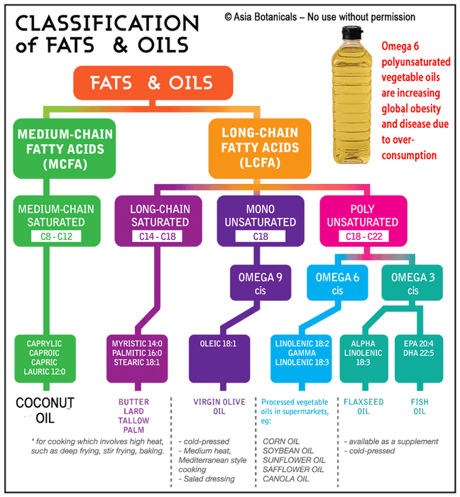 Understanding Coconut Oil and Omega 6 polyunsaturated oils from Rainforest Herbs Malaysia