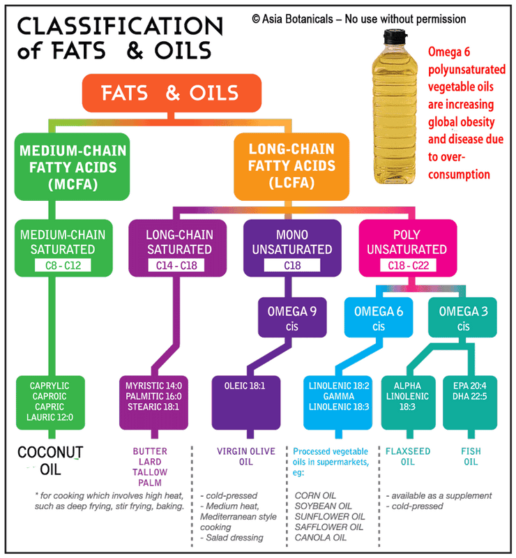Understanding Coconut Oil and Omega 6 polyunsaturated oils from Rainforest Herbs Malaysia