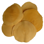 Wild Tongkat Ali Slices 50 grams - Rainforest Herbs