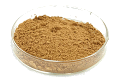 Tongkat Ali Extract Powder 60 grams - Rainforest Herbs